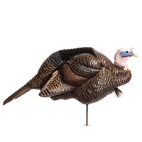 Dave Smith Decoys 3/4 Strut Jake White Faced